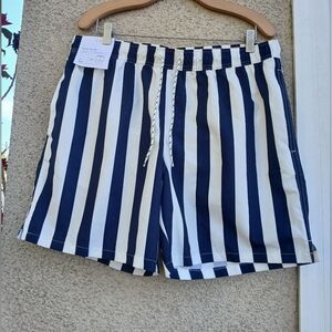 Goodfellow & Co Vertical Stripe Swim Shorts